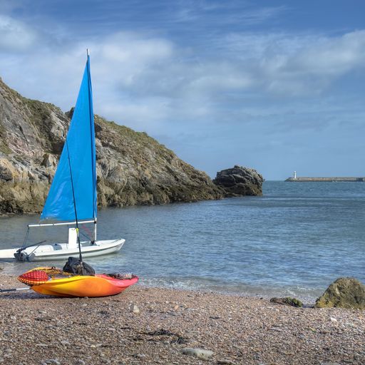 Dog-Friendly Beaches in Devon