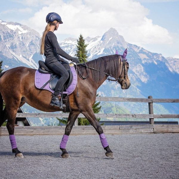 Elevate Your Riding Experience with Acavallo Stirrups: Comfort, Style, and Performance
